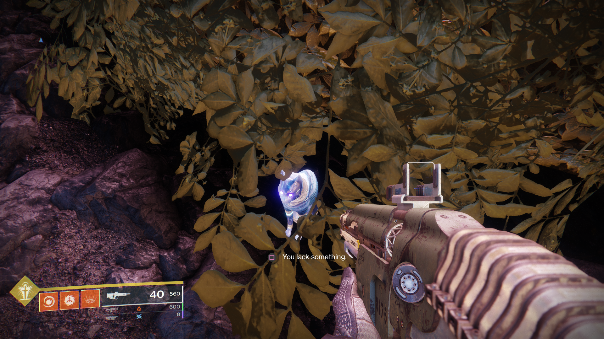 Destiny 2 Forsaken Where to find all 8 cats in the Dreaming City VG247