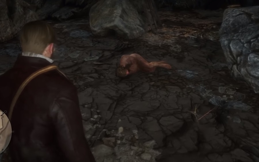 Red Dead Redemption 2 Wolfman