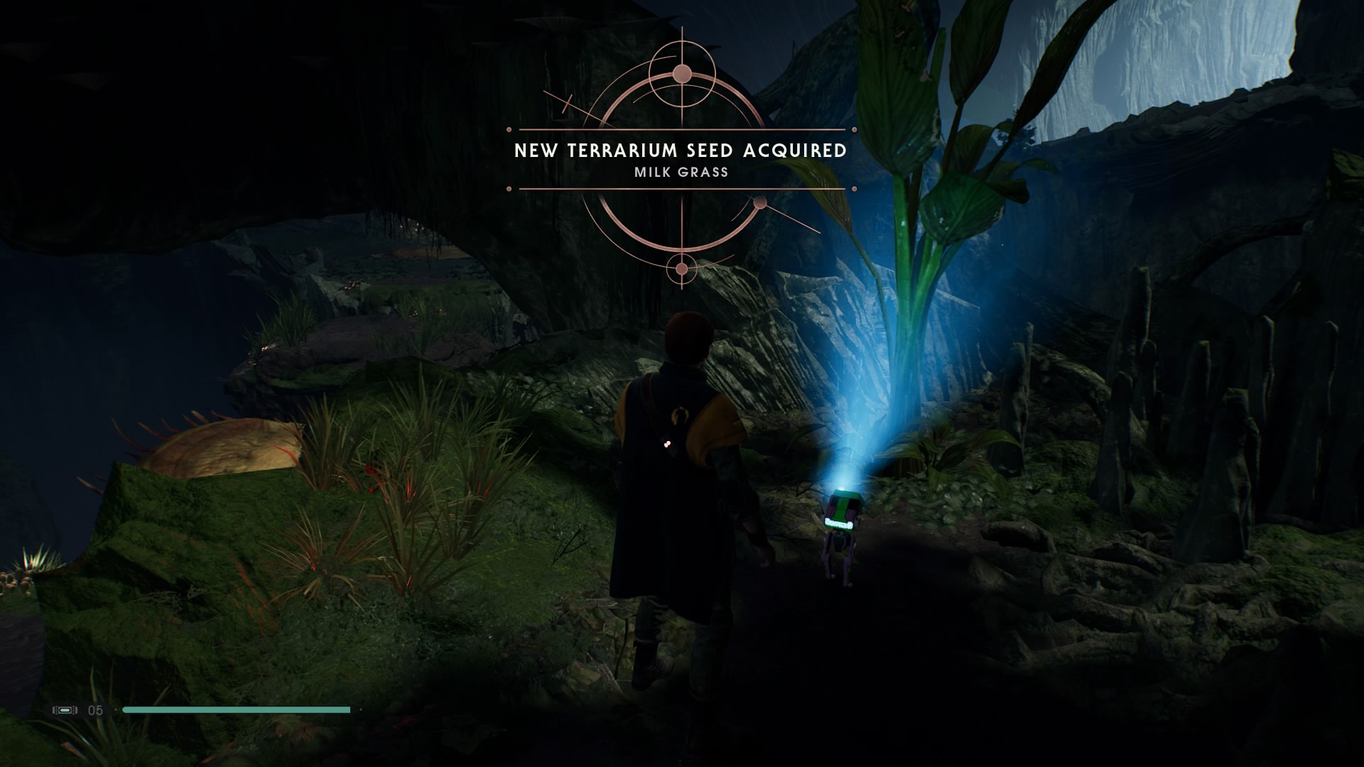 Star Wars Jedi Fallen Order Terrarium guide Where to find Seeds for