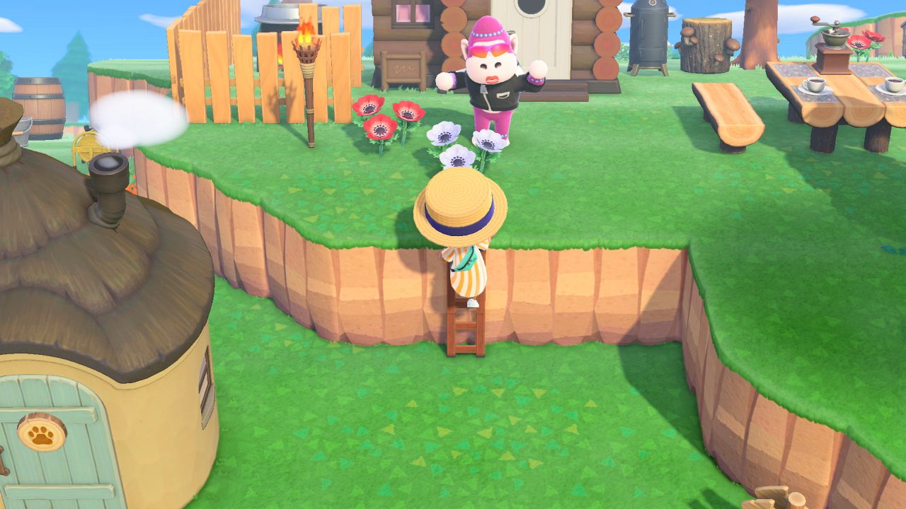 Animal Crossing New Horizons Ladder how to climb up ledges by crafting