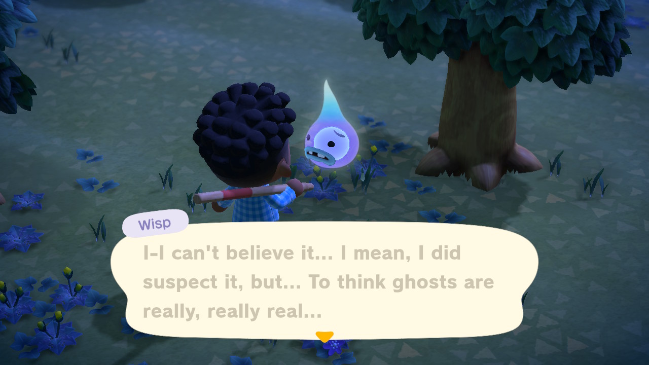 Animal Crossing New Horizons helping Wisp at night for special rewards