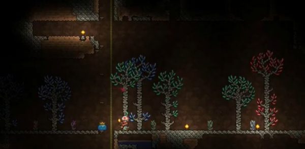 Terraria Gemcorns - How to grow more gems - VG247