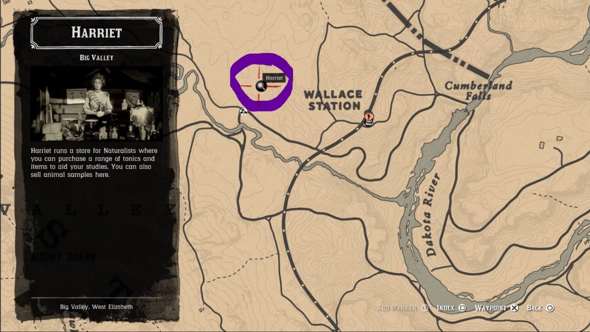 Red Dead Online Naturalist Guide All Legendary Animal Locations and Rewards