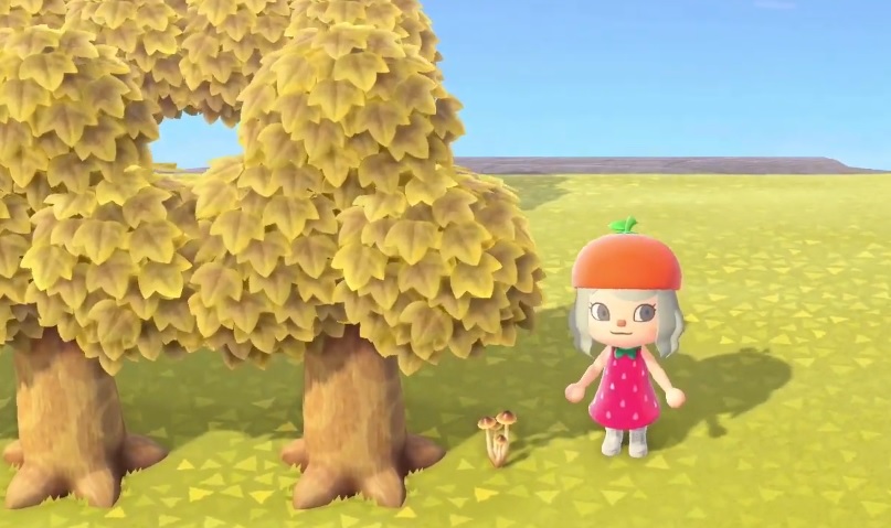 Animal Crossing New Horizons Mushroom guide Where to